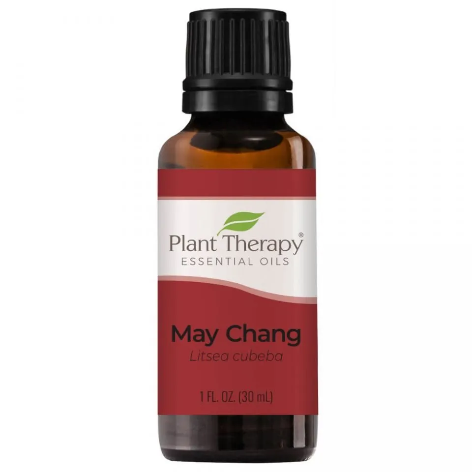 Plant Therapy May Chang Essential Oil